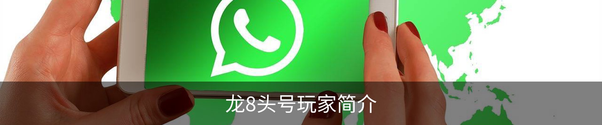 龙8头号玩家简介