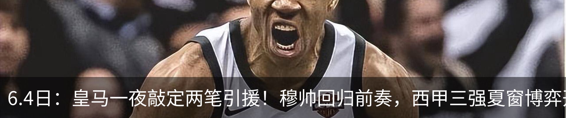 新闻动态